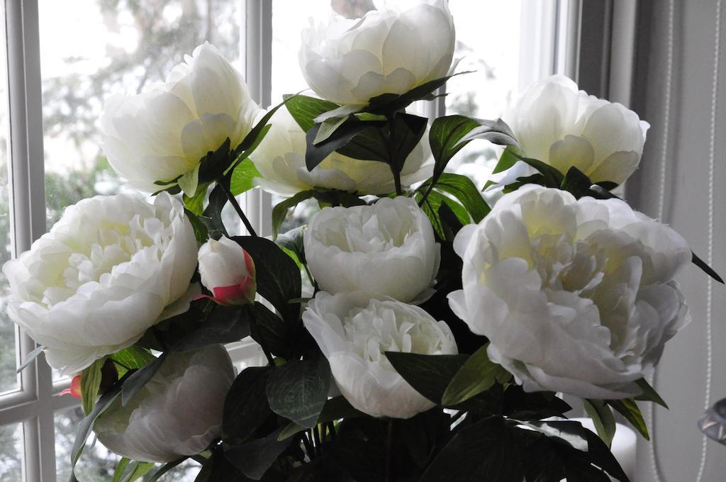 Brockamour Manor Bed And Breakfast Niagara-on-the-Lake ภายนอก รูปภาพ